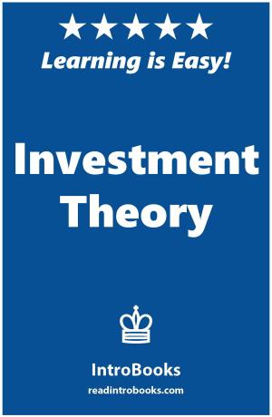 Cover of the book Investment Theory by Can Akdeniz