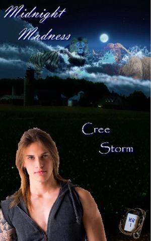 Cover of the book Midnight Madness Haven Ranch 1 by Cree Storm