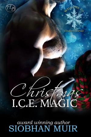 Cover of the book Christmas I.C.E. Magic by Lola Taylor