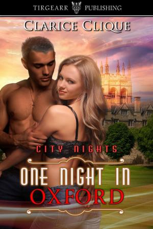 Cover of the book One Night in Oxford by Susan Clayton-Goldner