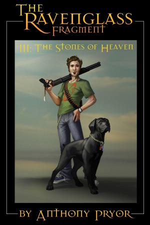 Cover of The Ravenglass Fragment III: The Stones of Heaven