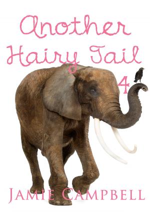 Book cover of Another Hairy Tail 4