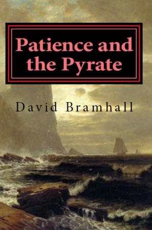 Book cover of Patience and the Pyrate
