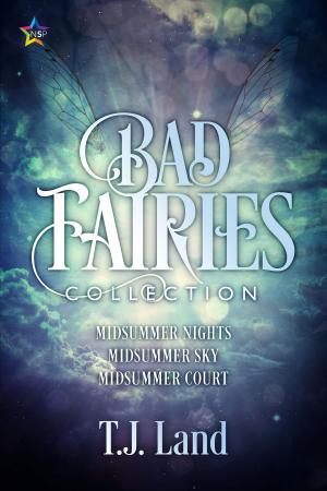 Cover of the book Bad Fairies: The Collection by T.J. Land