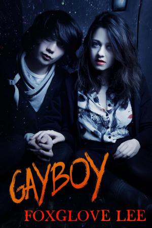 Cover of the book Gayboy by Crispin Mayfair