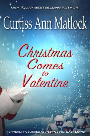 Book cover of Christmas Comes to Valentine