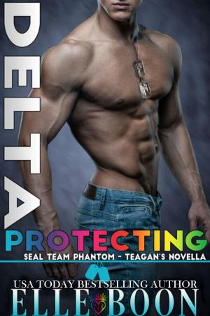 Cover of the book Delta: Protecting Teagan by Vivek Pereira