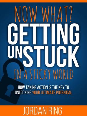 Cover of the book Now What? Getting Unstuck in a Sticky World: How Taking Action is the Key to Unlocking Your Ultimate Potential by Raza Imam