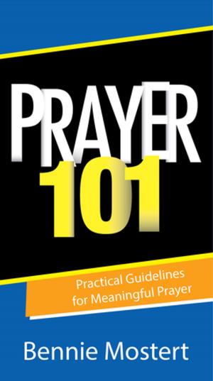 Book cover of Prayer 101 (eBook)