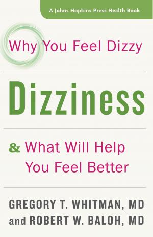 Book cover of Dizziness