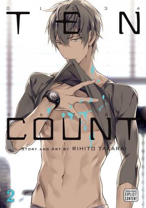 Book cover of Ten Count, Vol. 2 (Yaoi Manga)