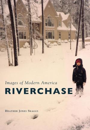 Cover of the book Riverchase by Thea Gallo Becker