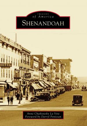 Cover of the book Shenandoah by Courtney L. Tollison PhD