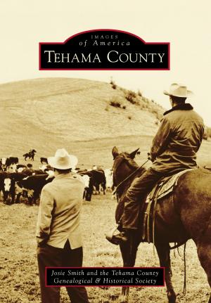 Cover of the book Tehama County by Arthur F. March Jr.