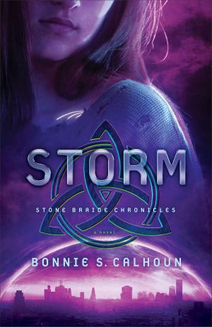 Cover of the book Storm (Stone Braide Chronicles Book #3) by Karen Witemeyer