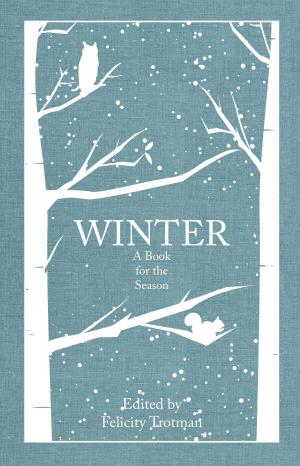 Cover of the book Winter by Graeme Gleaves