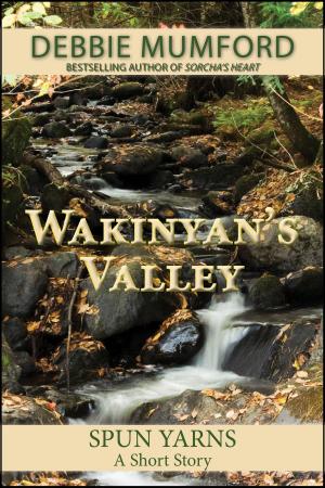 Cover of the book Wakinyan's Valley by Matteo Doglio
