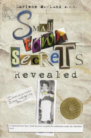 Cover of the book Small Town Secrets by Marlese Novalinga