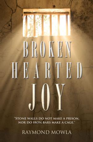 Cover of the book Broken Hearted Joy by Lisa Glasier