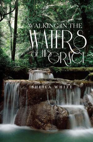 Book cover of Walking in the Waters of His Grace