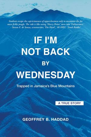 Cover of the book If I'm Not Back By Wednesday by A. L. Sinikka Dixon, Ph.D. in Sociology