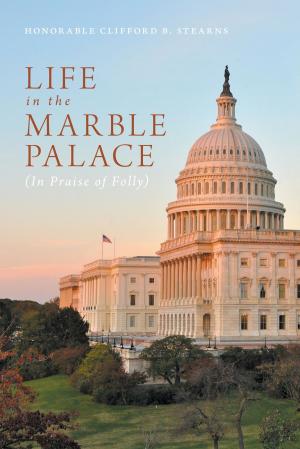Cover of the book Life in the Marble Palace by Nedler Palaz