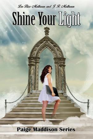 Cover of the book Shine Your Light by Dr. Akemi Bailey Haynie, Akemi Bailey Haynie, Ed.D.