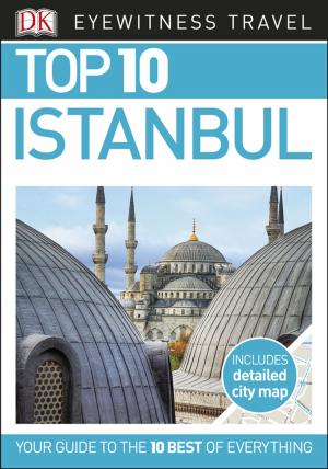 Book cover of Top 10 Istanbul