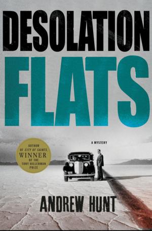 Book cover of Desolation Flats