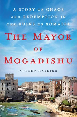 Book cover of The Mayor of Mogadishu