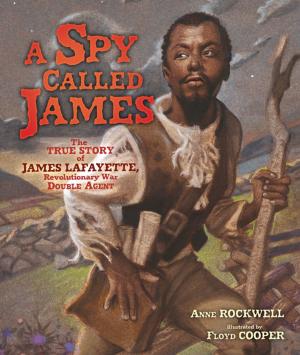 Cover of A Spy Called James