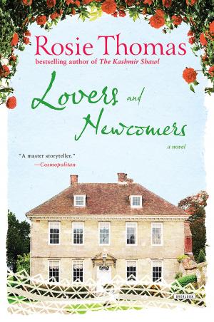 Cover of the book Lovers and Newcomers by Boni Ashburn
