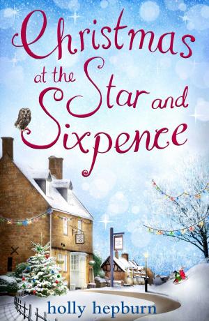 Cover of the book Christmas at the Star and Sixpence by Daniel Depp