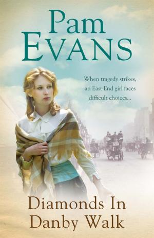 Cover of the book Diamonds in Danby Walk by Harriet Evans