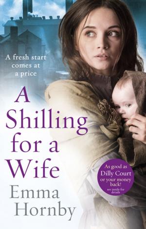 bigCover of the book A Shilling for a Wife by 