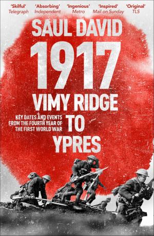 Cover of the book 1917: Vimy Ridge to Ypres by Camilla Morton