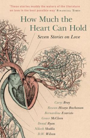 Cover of the book How Much the Heart Can Hold: the perfect alternative Valentine's gift by Nora Kay