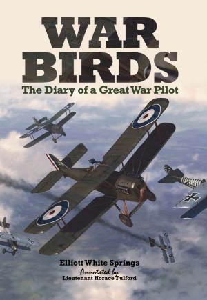 Cover of the book War Birds by William Le Queux