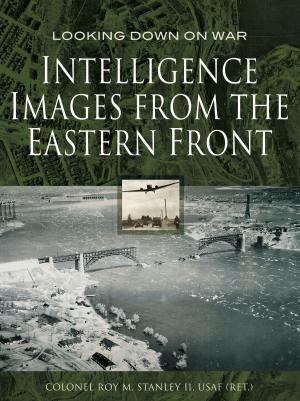 Cover of the book Intelligence Images from the Eastern Front by D Richards