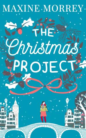 Cover of the book The Christmas Project by Joseph Polansky