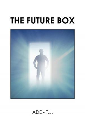 Cover of the book The Future Box by Richard Woolley
