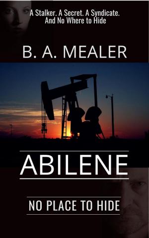 bigCover of the book Abilene: No Place to Hide by 