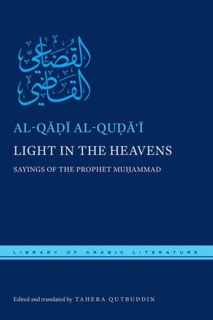 bigCover of the book Light in the Heavens by 