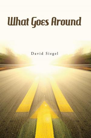 Cover of the book What Goes Around by David Taylor Johannesen