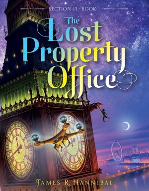 Cover of the book The Lost Property Office by Kate Morgenroth