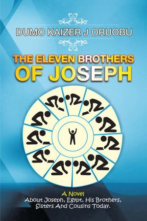 Cover of the book The Eleven Brothers of Joseph by The Infinite