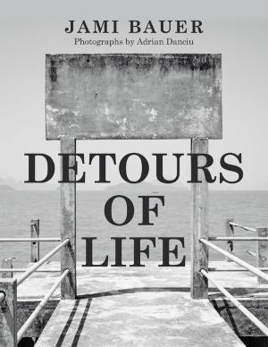 Cover of the book Detours of Life by Jonathan Stewart