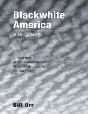 Cover of the book Blackwhite America: A Fresh Look at Whites and Blacks Living Fitfully Together for 393 Years by Lyn Crain