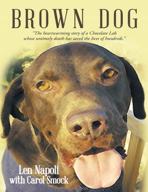 Cover of the book Brown Dog by Corey Barak, Nils Rasmussen, Hadrian Knotz, Michael Applegate