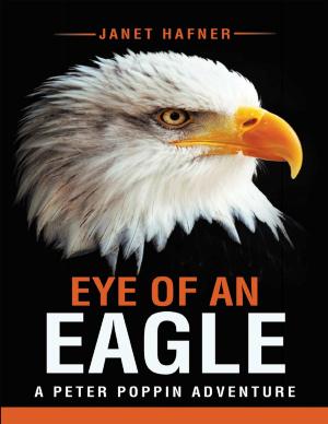 Cover of the book Eye of an Eagle: A Peter Poppin Adventure by Daren Hancott